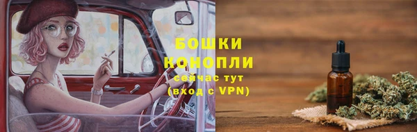 индика Волоколамск