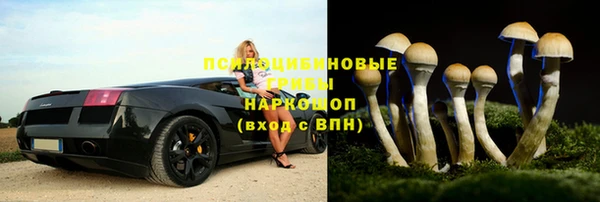 трава Вяземский