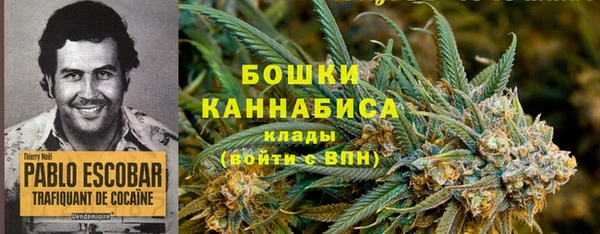 первитин Володарск