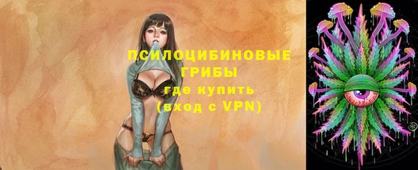 индика Волоколамск