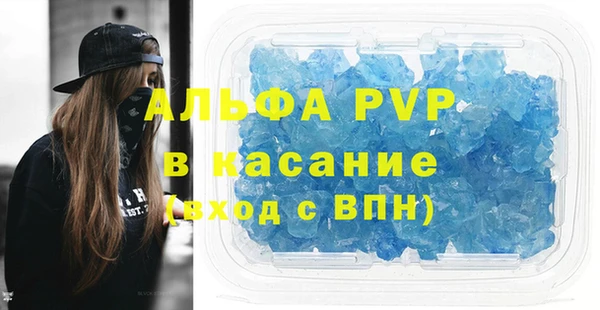 индика Волоколамск