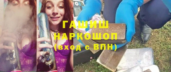 индика Волоколамск